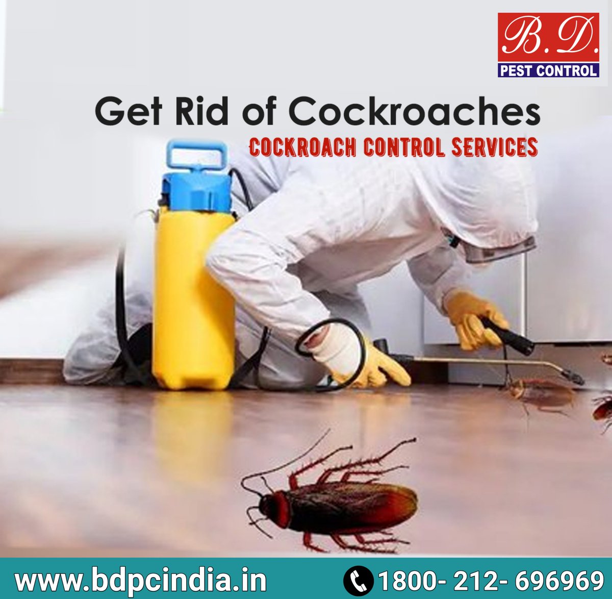 bdpcindia's tweet image. Everyone wants a happy home, but the biggest challenge is keeping pests out of it. Stop by and see us on what you can do to create a pest free home.
#bdpcindia #BDPestControl #bestpestcontrol #bestcintrol #bdpci
