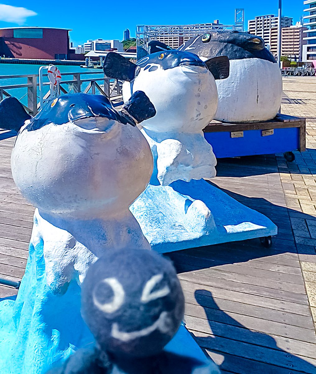 Deidara_Botchi's tweet photo. Hi!
I'm a #DeidaraBotchi .

#Blowfish ! Blowfish! Blowfish!
The blowfish #TriStars .
Jet stream attack!!

#Fuku #Fugu 
#KaratoMarket

#Shimonoseki 
#Yamaguchi
#Japan
#Nuidori
#WoolFelt #NeedleFelting #NeedleFelt
#StuffedAnimal
#StuffedToy
#SoftToy
#PlushToy
#WoolToy https://t.co/A6MjFCMi0E