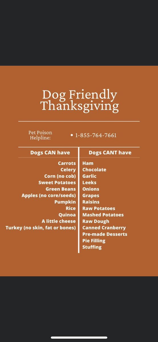 IAmRufus209's tweet photo. Hoping everyone has a happy and blessed Thanksgiving with loved ones!! Sending love to you and your families 🥰🧡
#Thanksgiving #HappyThanksgiving2022 https://t.co/a2tcdGakFe