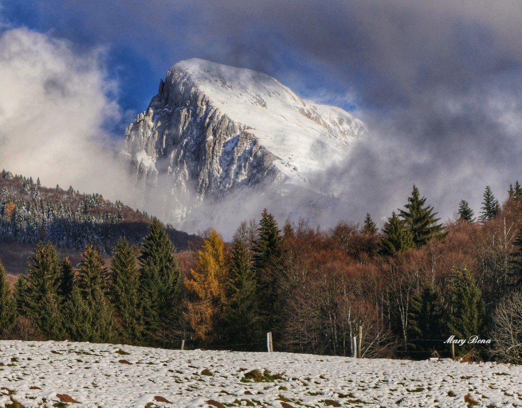 Marybonabona's tweet photo. @mircorunner @luuurensa @Sererun @Andreasimo46 @marcoloffredo @luigifoschini @AngeleriMassimo @_RunnerSlow @davidlapo1967 @skyrun7 @eperdomi @paolonghi @ziogian67 @ligori4 @BerrettaLaura @TriathBlade Questa mattina mi sono svegliata presto, così vi regalo pure una foto, qui è arrivata la prima neve, una spolveratina.. Buon giovedì a tutti! #tambre #belluno #veneto #primaneve https://t.co/hDI0Sdla7p