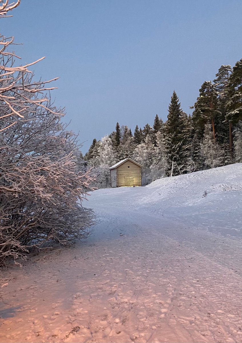 positivakicken's tweet photo. Prova några dagar att ägna några minuter per dag att träna på att njuta av vardagliga små saker som en liten frukost, en kopp kaffe, en promenad, mötet med en annan människa. Lev mer, tänk mindre. Se vad som händer!👍😊👍😊 https://t.co/yvnZrSzqjh