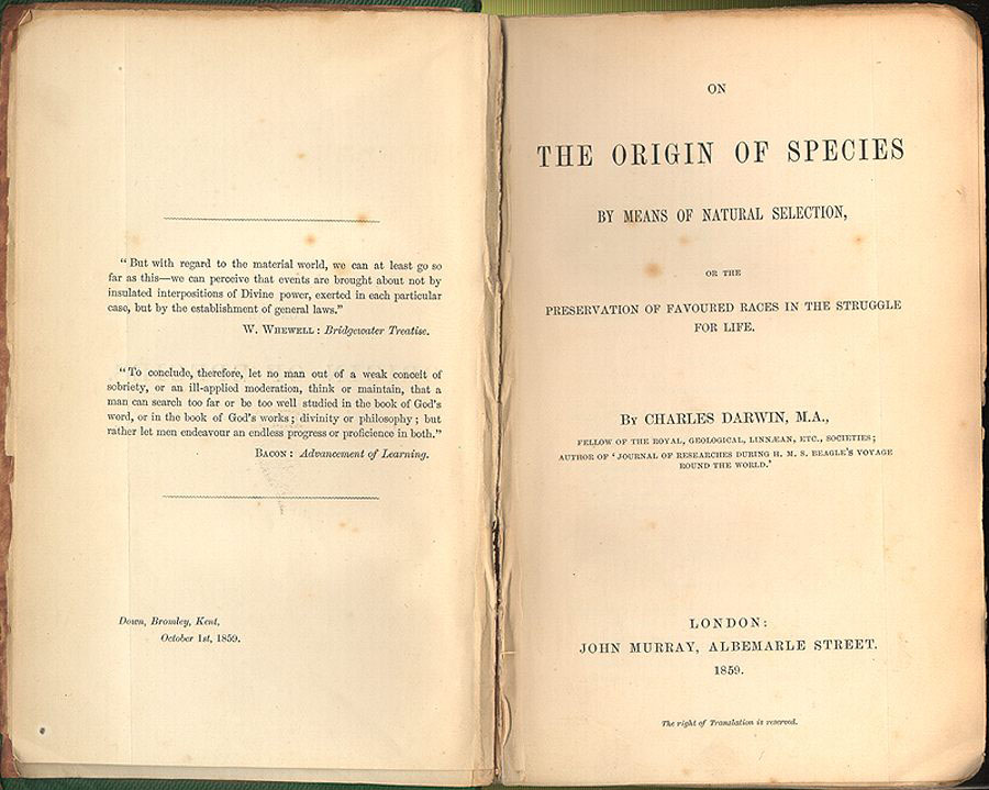 IveserVenezia's tweet image. 24 novembre 1859 
Il naturalista inglese Charles Darwin pubblica "L'origine delle specie" annunciando la teoria dell'evoluzione e selezione naturale