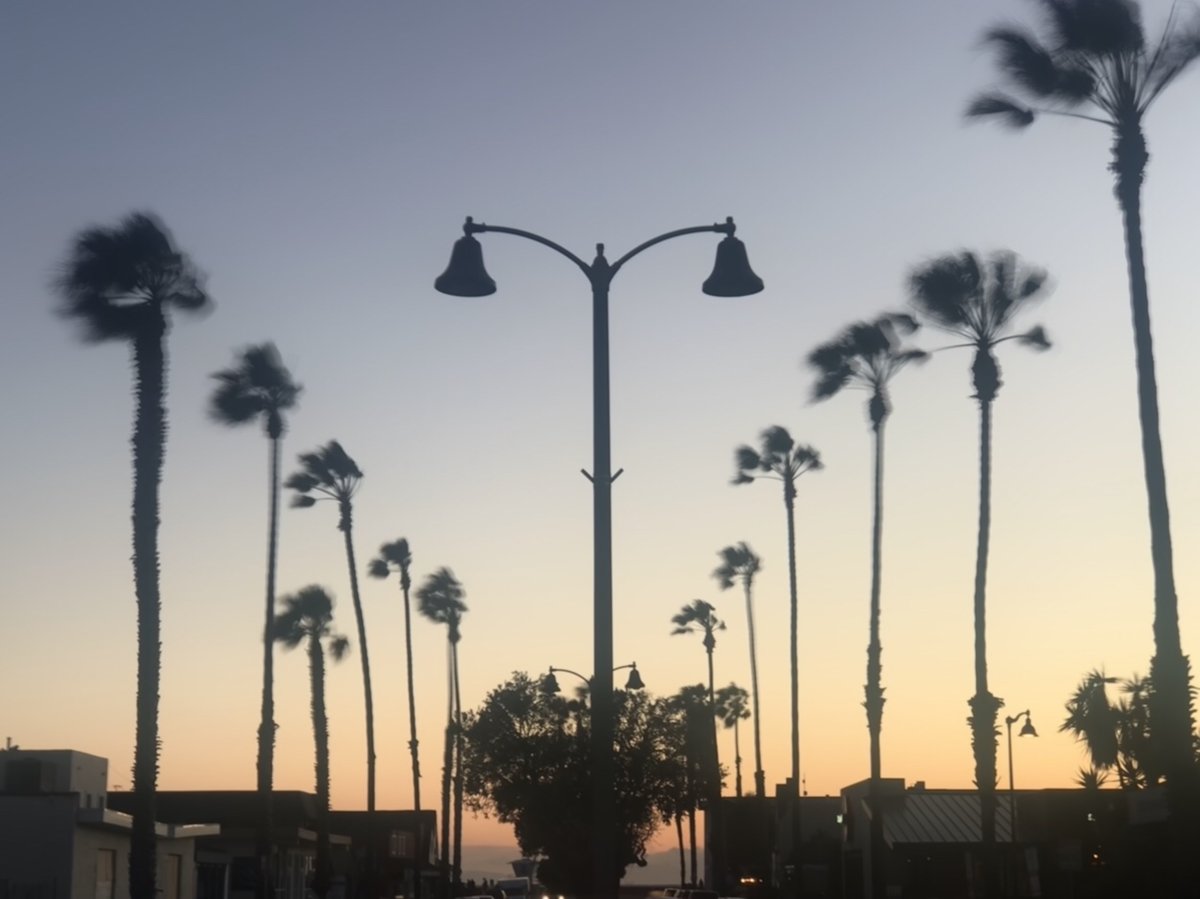NWSLosAngeles's tweet photo. Santa Ana winds have begun over the higher terrain in Ventura and LA County. So far, the strongest winds have been over the LA Co Mountains where Magic Mtn Truck Trail gusted to 62 mph. #socal #SantaAnawinds #CAwind #LAwind 

For more wind gusts: 
https://t.co/tM72O9rkuA https://t.co/iTRqDrraL7