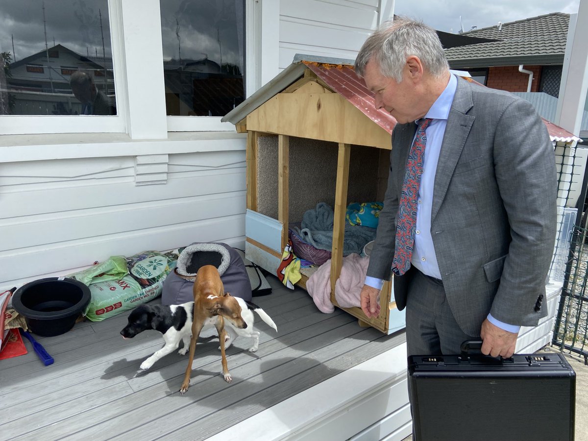 Always look out for the underdog!