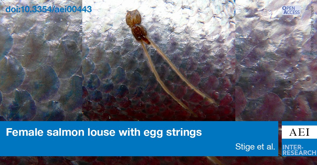 Modelling salmon lice-induced mortality of wild salmon post-smolts is highly sensitive to calibration data. The findings help explain why different virtual post-smolt models provide different estimates of salmon lice-induced mortality.bit.ly/aei_14_263
<a href="/vetinst_no/">Veterinærinstituttet</a>