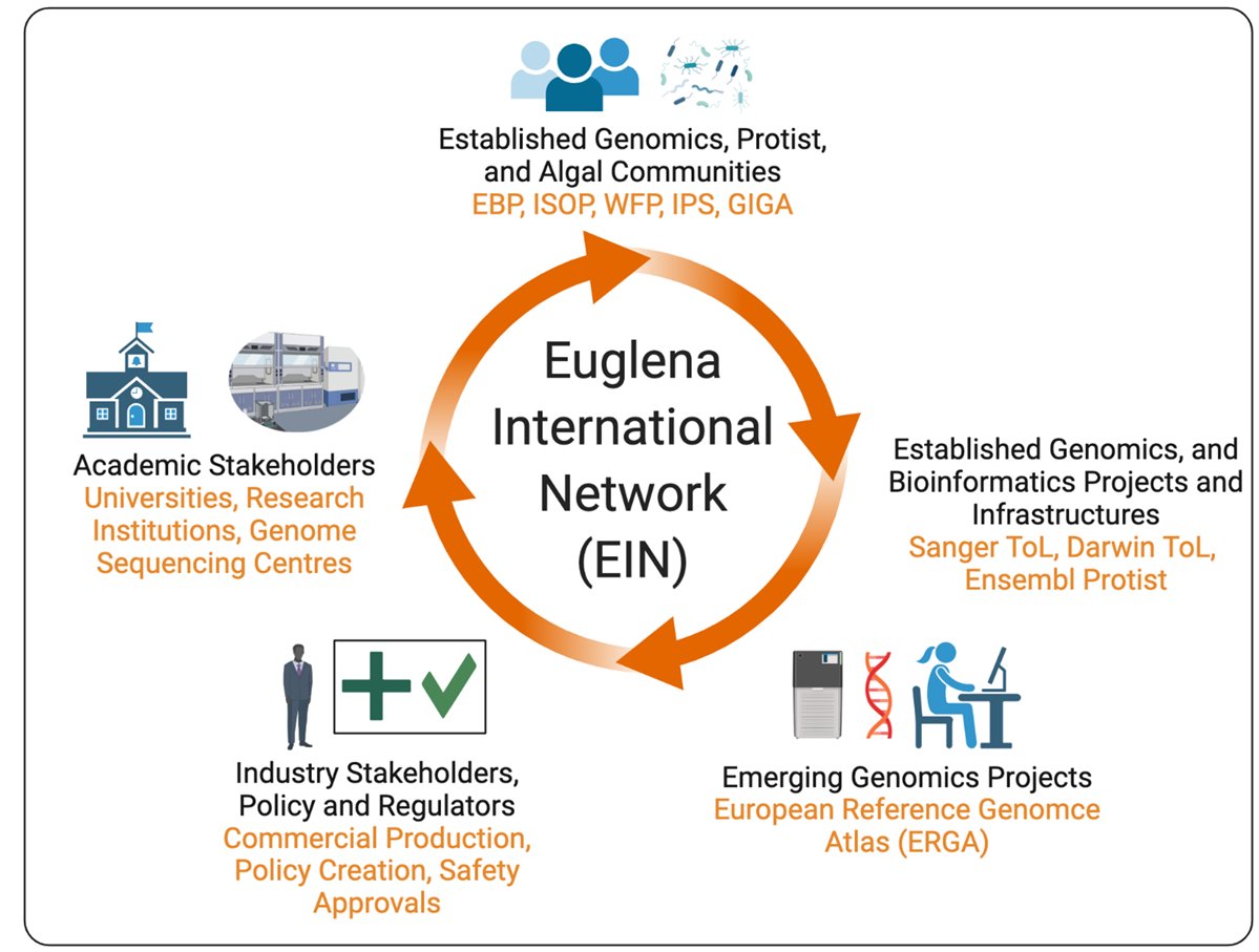 Rob Field, PVC Science, UEA (@rob_field_lab) on Twitter photo Driving euglenoid biotechnology for the benefit of a challenged world <a href="/EuglenaNetwork/">Euglena International Network</a>
pubmed.ncbi.nlm.nih.gov/36412269/ Driving euglenoid biotechnology for the benefit of a challenged world <a href="/EuglenaNetwork/">Euglena International Network</a>
pubmed.ncbi.nlm.nih.gov/36412269/