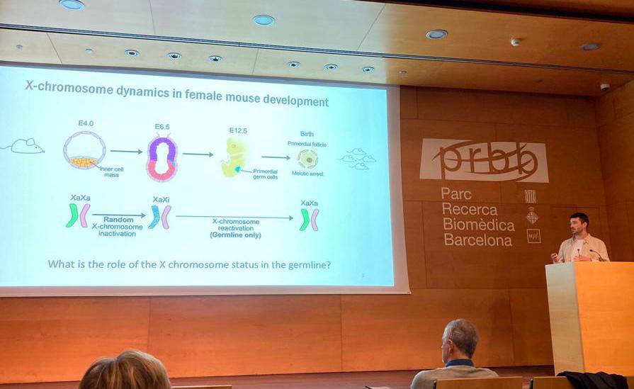 Centre for Genomic Regulation (CRG) (@crgenomica) on Twitter photo Now, it’s <a href="/Tom_Mattimoe/">Tom Mattimoe</a> turn. Tom from @Payerlab is introducing his work on X-chromosome inactivation and meiosis 🔍
Incredible talk and beautiful work! 💯🌟
#biology #science #sciencecommunication #phd Now, it’s <a href="/Tom_Mattimoe/">Tom Mattimoe</a> turn. Tom from @Payerlab is introducing his work on X-chromosome inactivation and meiosis 🔍
Incredible talk and beautiful work! 💯🌟
#biology #science #sciencecommunication #phd