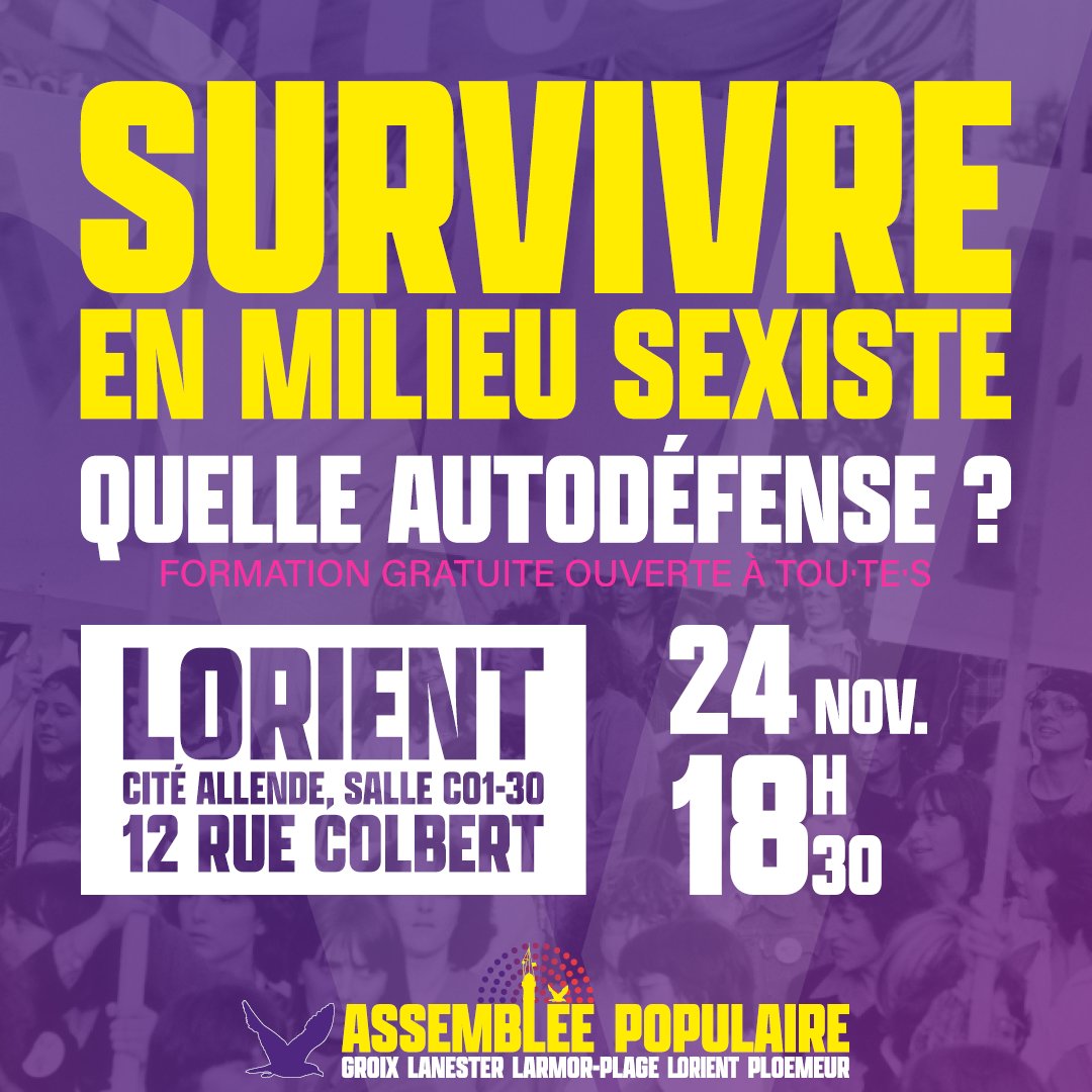 🟣 Survivre en milieu sexiste : quelle autodéfense ? ➡️ Ce soir à Lorient ⤵️

🌐 Événement
➡️ Action Populaire : actionpopulaire.fr/evenements/b2b…
➡️ Facebook : fb.me/e/2jMrYC0RN

#Féminisme #VSS #AssembléePopulaire #NUPES