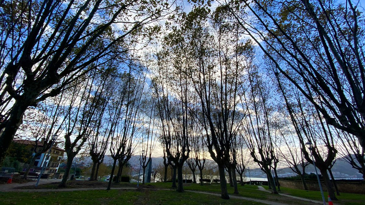 𝓥𝓲𝓻 📸 tweet media