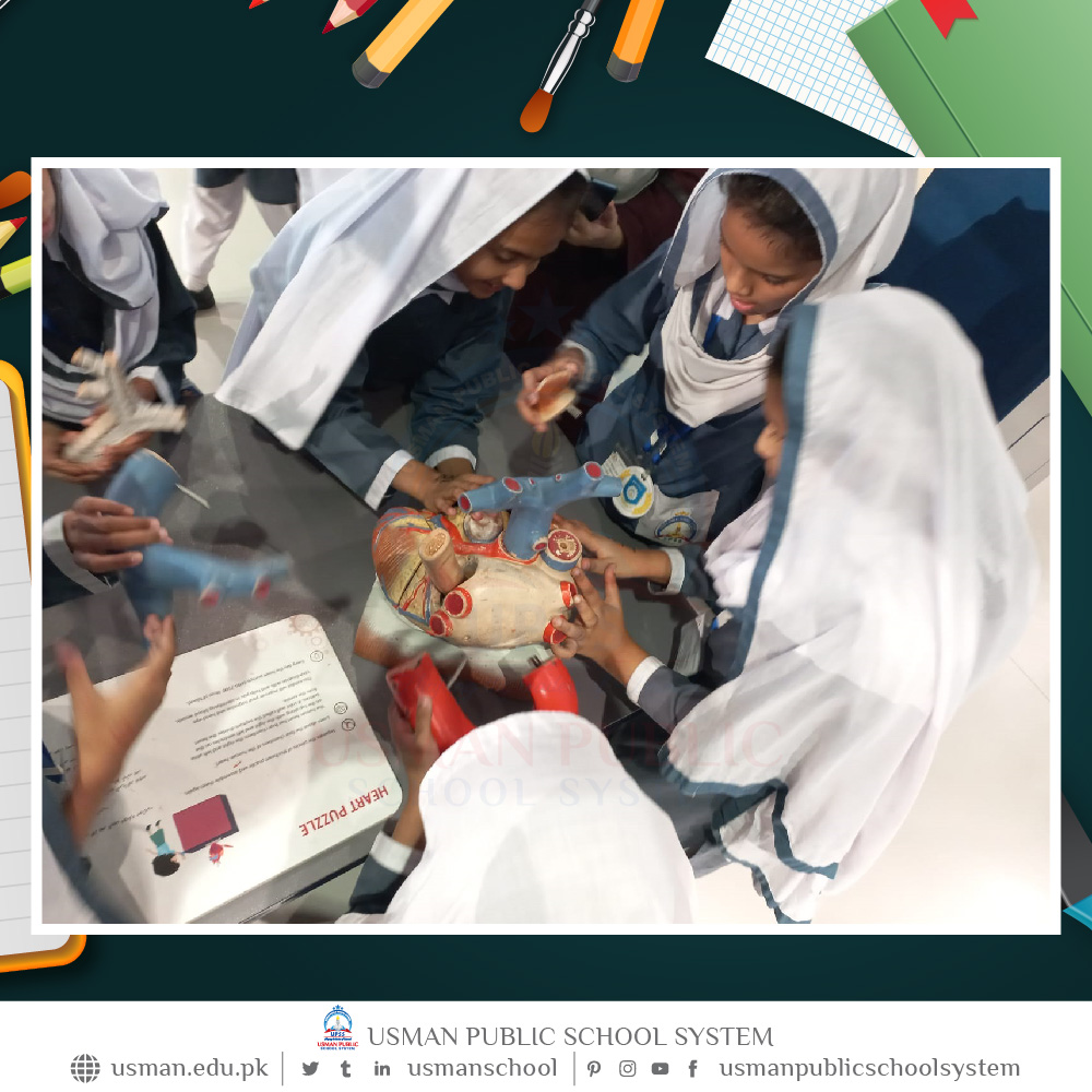 UsmanSchool's tweet photo. Photo highlights of the daily activities of the children of Usman Public School System, #RandomClick #Usmanians #November2022 #4thweek4thday #Updates #ProfessionDay #EducationalExcursionTrips https://t.co/BUhiW70K8O
