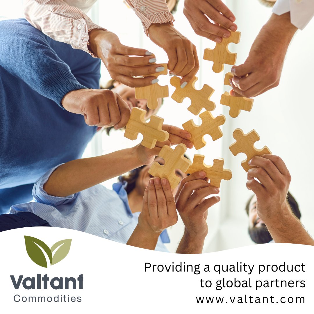 Valtant1's tweet photo. At Valtant Commodities, we believe in accountability in all spheres of our activities, including our #ESG commitments
https://t.co/KBtOmF0n9X

#esgstrategy #esg2022 #sustainability #policies #operationalcontrols  #socialresponsibility #corporatesustainability #fertilisers https://t.co/MP8wiuKqhK