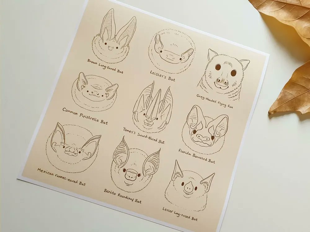 Bat Faces! 😍❤🦇 My most popular print from the endpapers of my picture book about bat conservation #AmaraAndTheBats 

Save 15-65% until I close on Weds 30th Nov until 2023. ❤