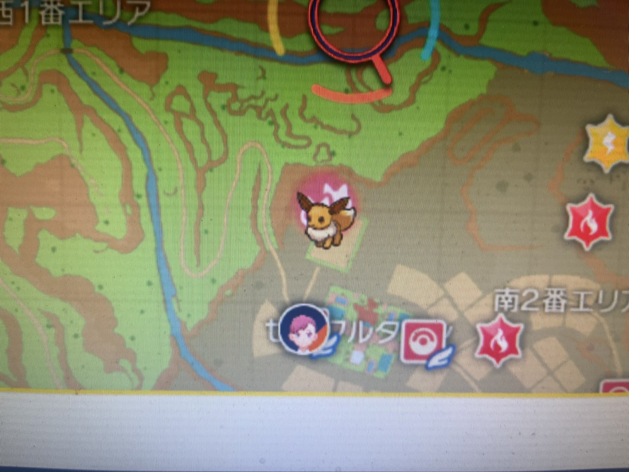 Rm3 らむさん ポケモンsv イーブイの大量発生出ます T Co Qmtxupgv0r Twitter