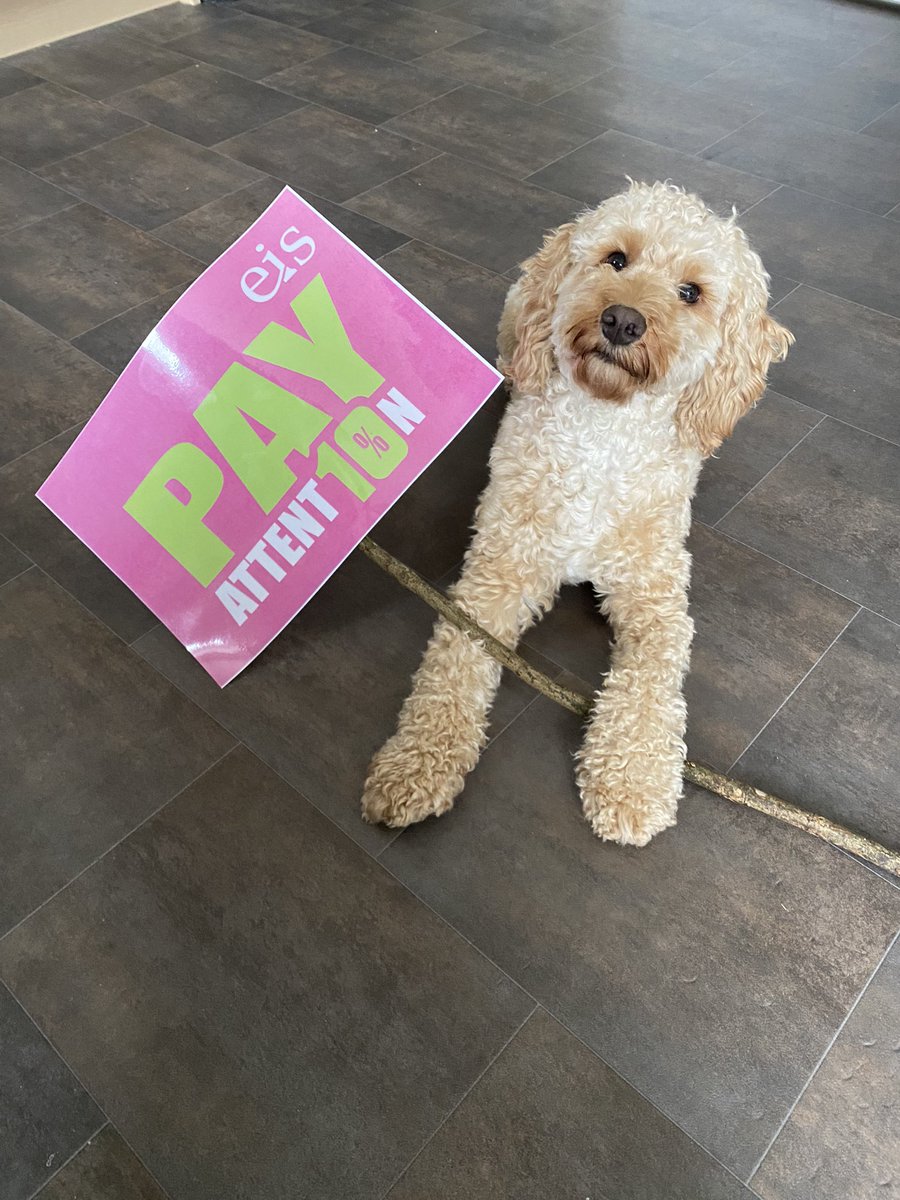 MissBall8's tweet photo. Getting ready for the rally! #PayAttention @InverclydeEIS #TeacherStrike https://t.co/5qYTERwevc