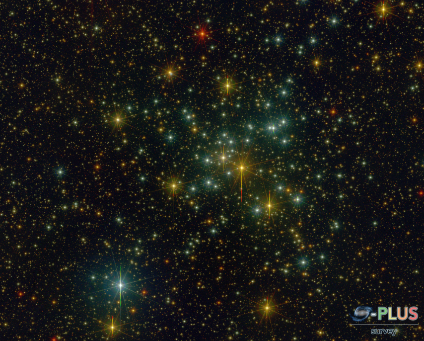 Roberta Duarte tweet media