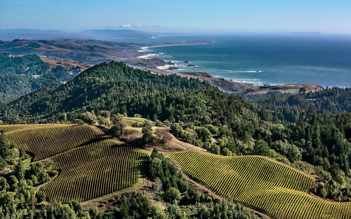 Good Morning from beautiful California.

- Sonoma County, California