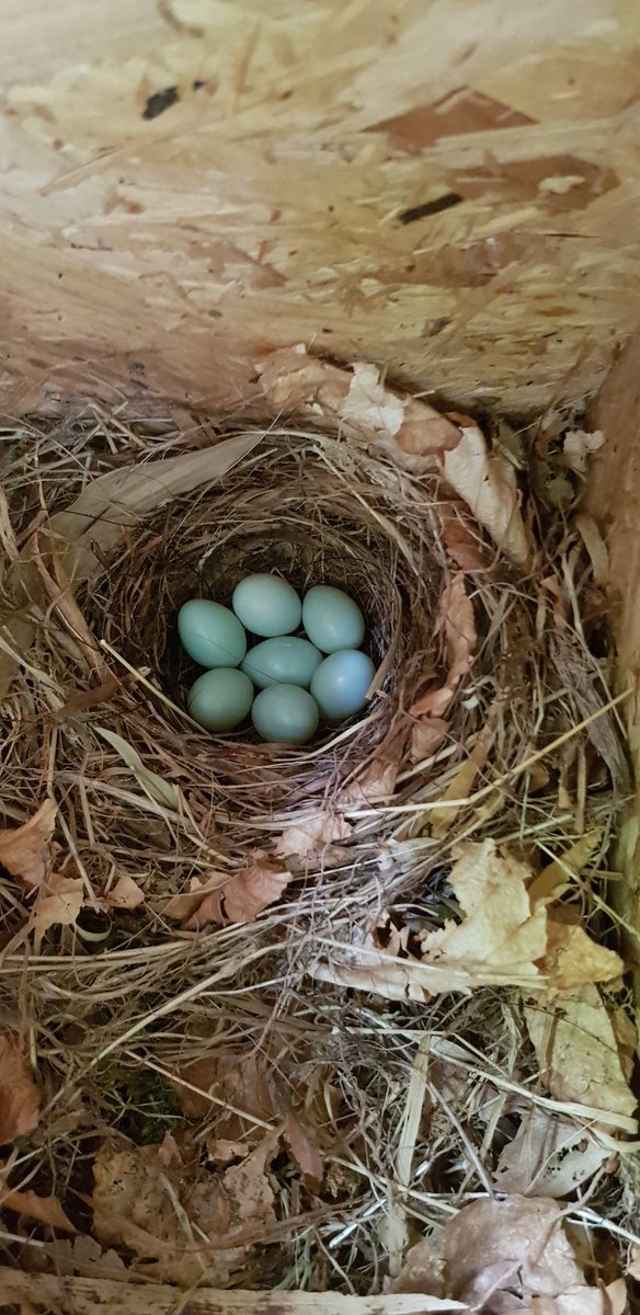 Richard lloyd Evans tweet media