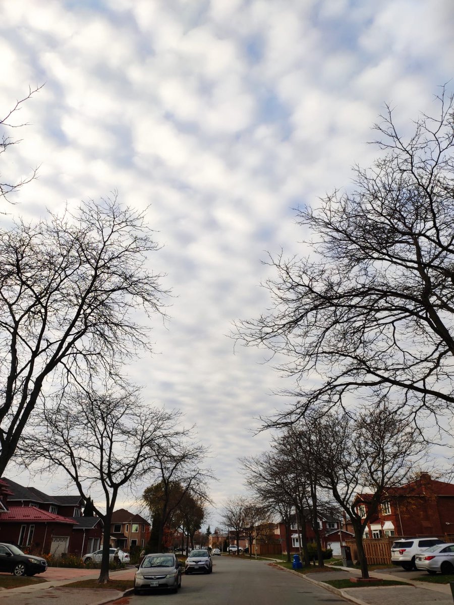 peackerstudio's tweet photo. Revelation are found in clouds - Serge King

#peacker #PeackerStudio #PeackerMedia #nature #naturephotography #naturelovers #clouds #sky #skyphotography #photooftheday #photography #photo #instaphoto #beautiful https://t.co/LKOSYh17ym
