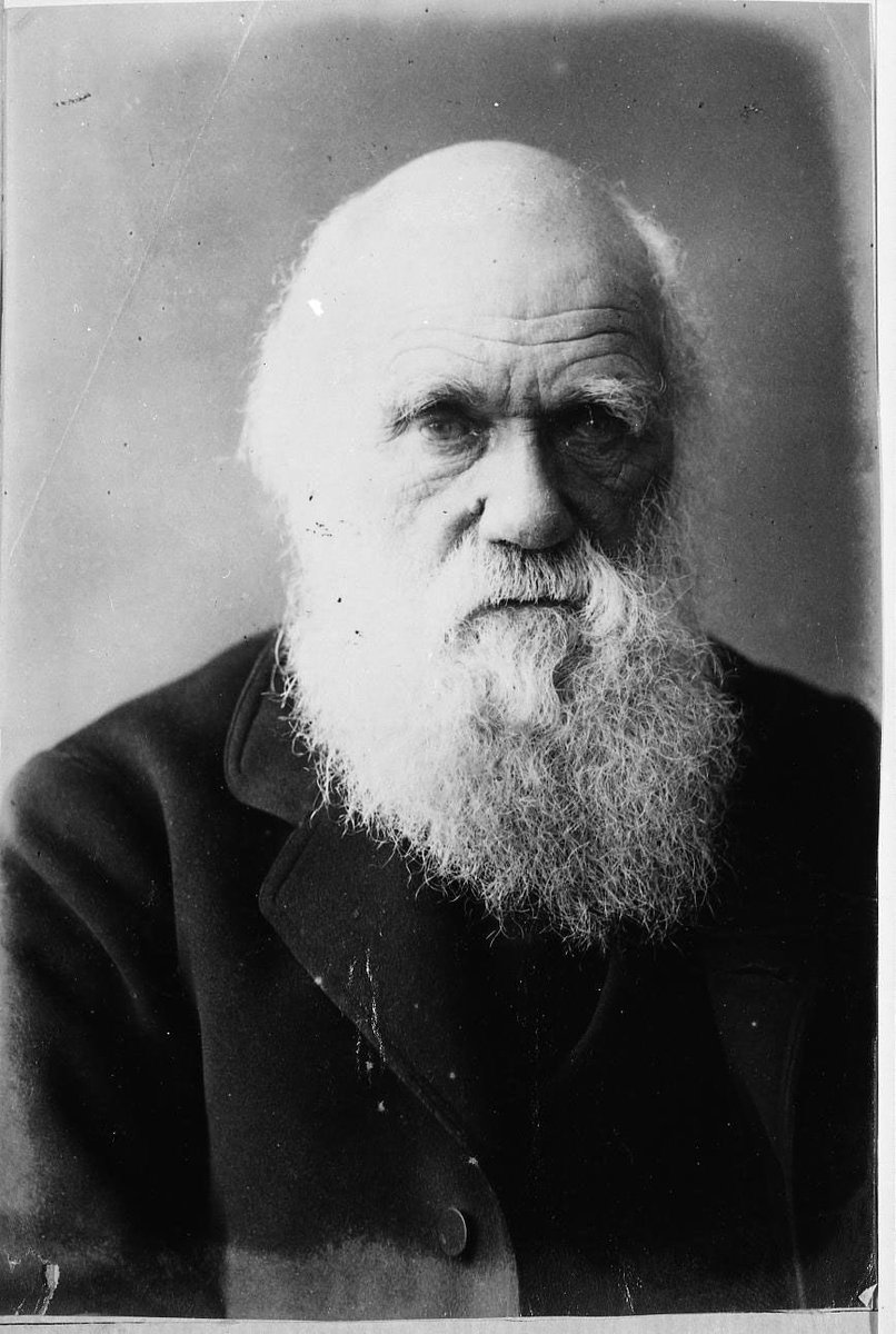 FossilHistory's tweet photo. Charles Darwin’s Origin of Species was published #OnThisDay in 1859. “There is grandeur in this view of life - that from so simple a beginning, endless forms most beautiful and most wonderful have been, and are being, evolved." https://t.co/kpuj0RJEFR