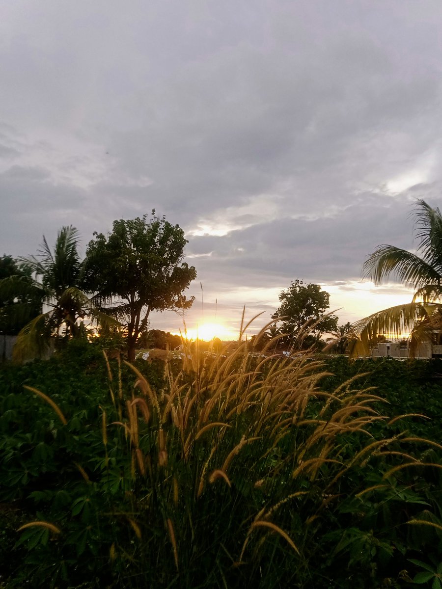smith96sifa's tweet photo. Selamat soree https://t.co/wPaAU2l3oI