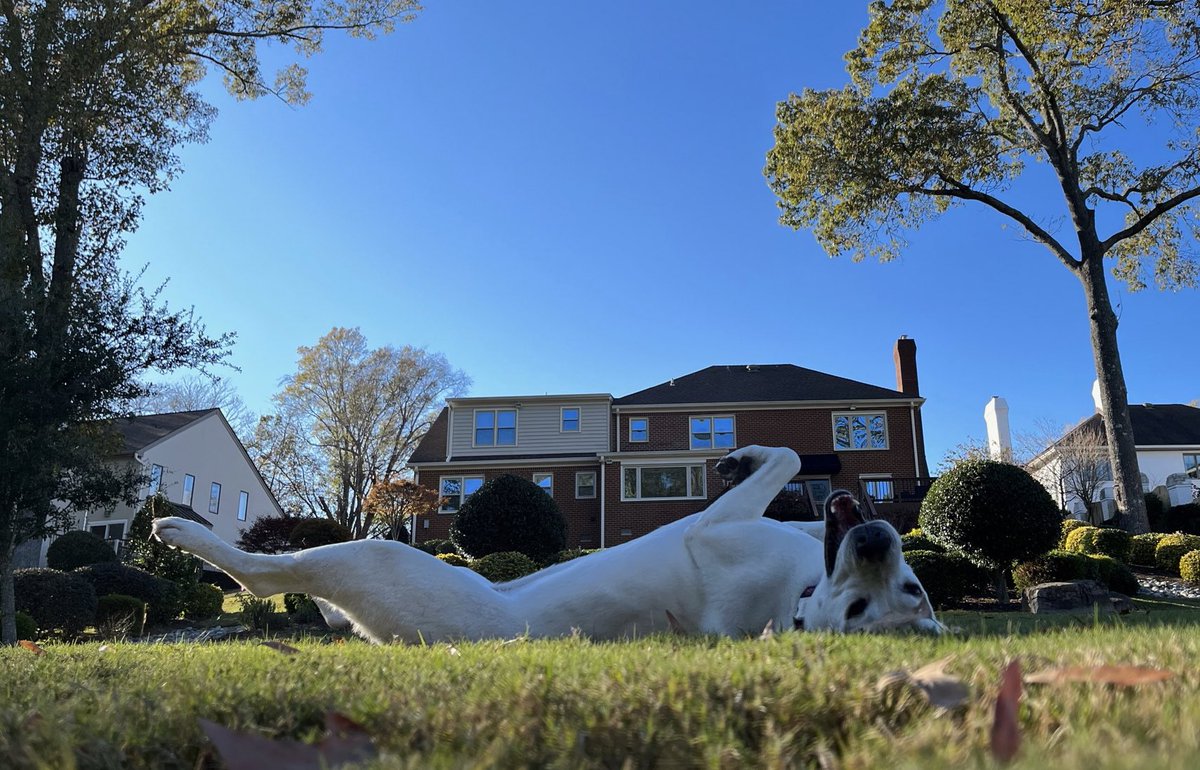 Simon Perez (@simonperez1) on Twitter photo 