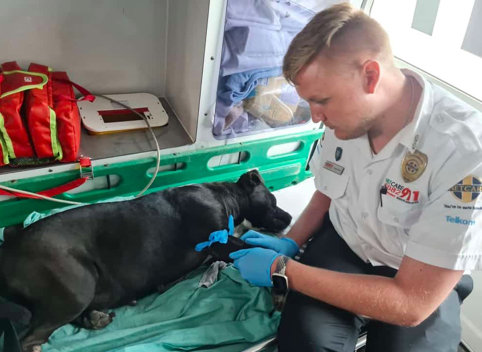 _ArriveAlive's tweet photo. Child killed, dog shot in alleged gang violence in Cape Town https://t.co/ZcjjLR7tjd
#ArriveAlive #GangViolence #DogShot #ChildKilled @Netcare911_sa https://t.co/xYQJB5Hshm