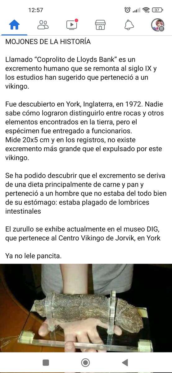 Miri_flipy's tweet photo. El feisbus me recomienda mierda de la wena...ahora que no tengo ni amigos solo veo contenido de calidad 🤣 https://t.co/riIPirwY4l