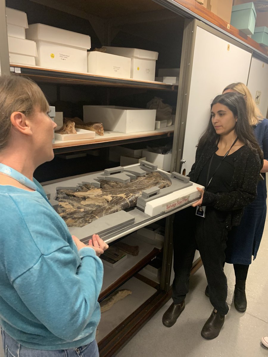 Joe Varrasso tweet media