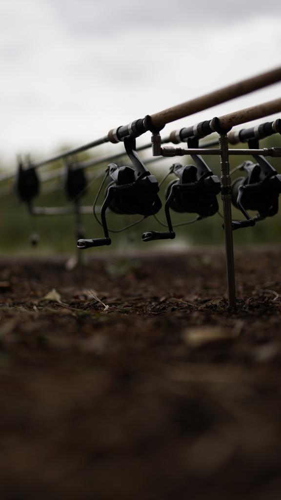 CarpCafe tweet media