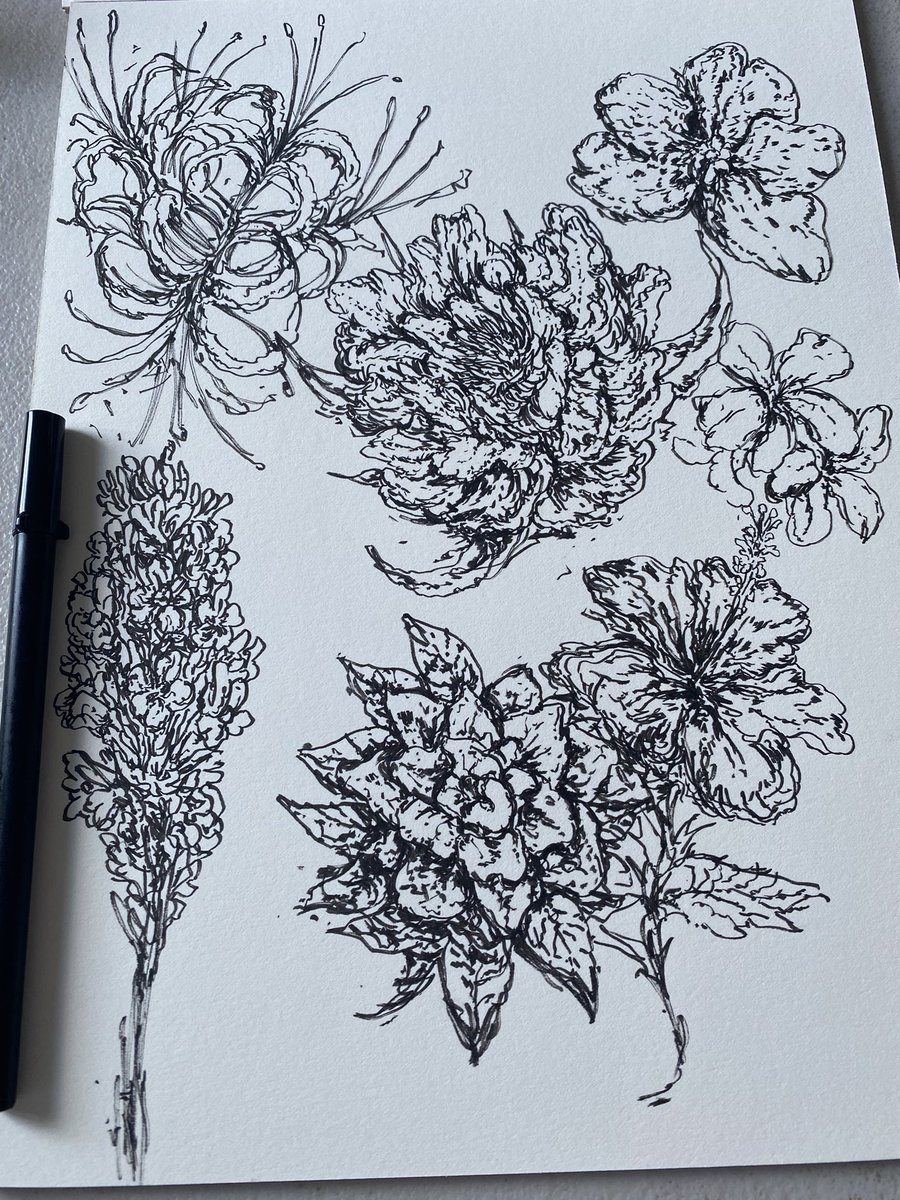 RatChef_'s tweet photo. FLOWERS #ThankYouRatGod https://t.co/qRkjg4PDX4
