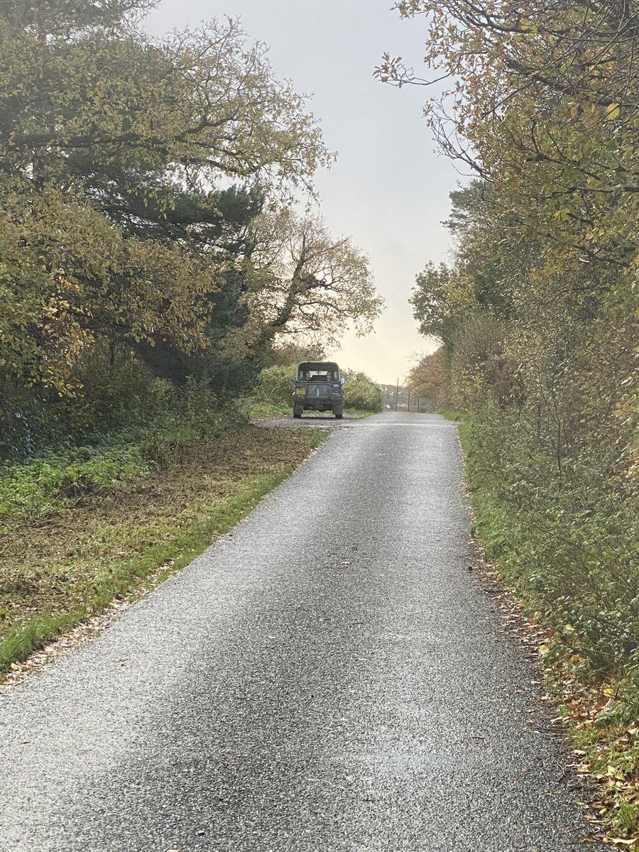 As far as the verge cutters got. Nice man driving but silly Devon country council instructions to flail all to within a meter of ditch. Simply witless. No cover or food in savaged hedgerows. No need to cut the verges yearly. No space for voles or mice. No hope for glow worms.