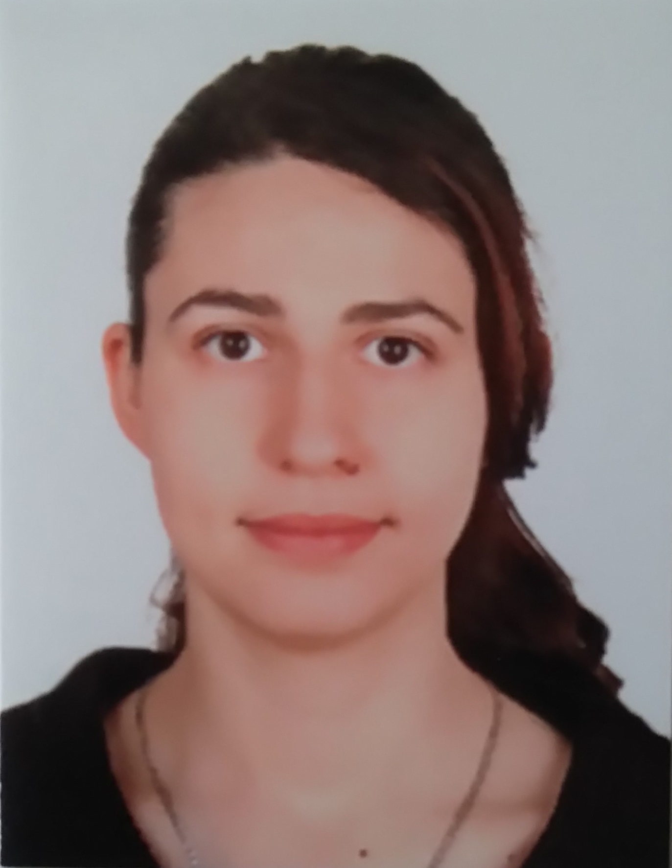Cosic.be on Twitter: "Liliya Kraleva successfully defended her PhD ...