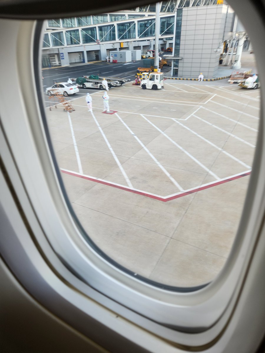 一落地就见到久违了的大白在欢迎我们了。