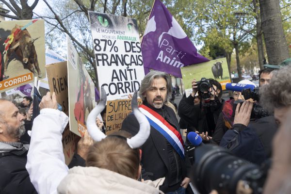 Je soutien la proposition de loi pour abolir la corrida déposée par le groupe FI et défendue par @CaronAymericoff  qui sera discutée aujourd'hui à l'A.N .

#24novembreCorrida