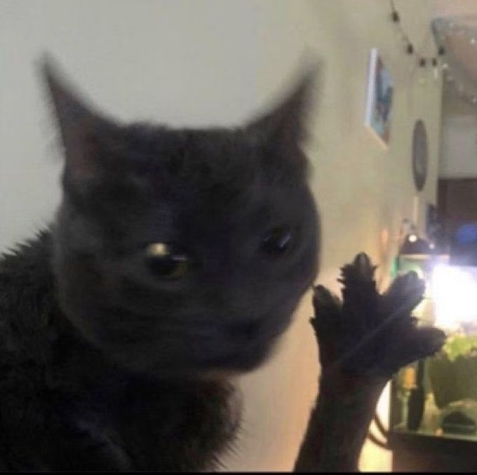 TSB_ph's tweet photo. congratulations! it seemed you scrolled too far you have found ✨4 dabloons✨ and a mlem fren wishing you a good day 

go forth and continue scrolling mindfully 

#dabloon https://t.co/93G1RooIhR