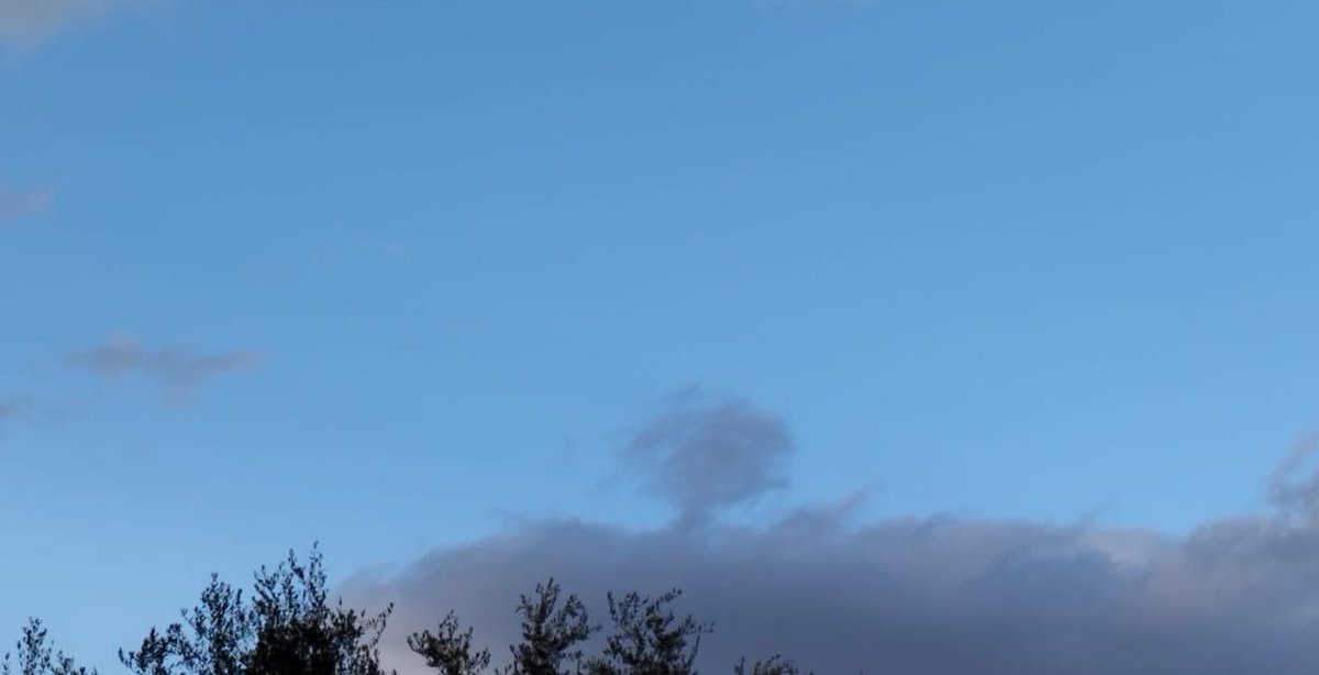 È una semplice nuvola, ma la fantasia si confonde con la realtà: un albero nel cielo, un pizzico di terra in alto sulle nuvole; un attimo e poi si confonderà con l'azzurro del cielo. La nostra vita è così? I tuoi sogni non lasciarli sulle nuvole, concretizzali. Buona giornata