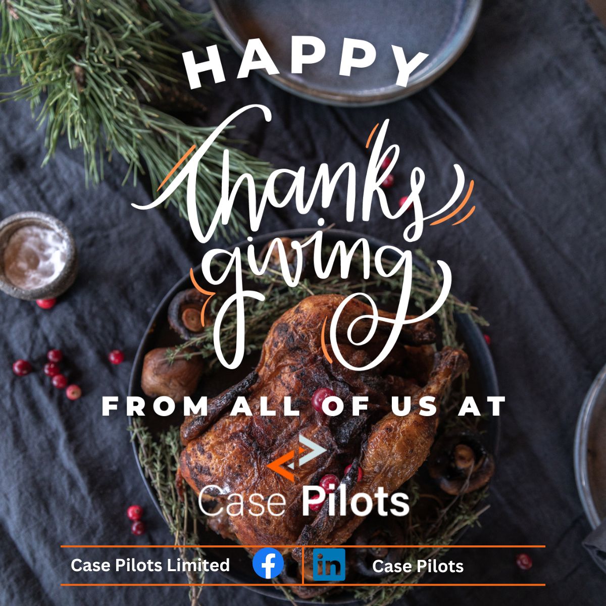 Case Pilots tweet media