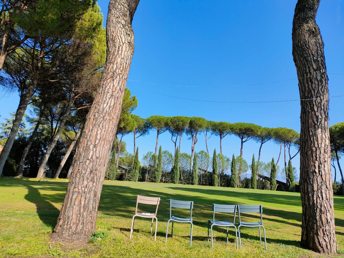 The Juniper Company tweet media