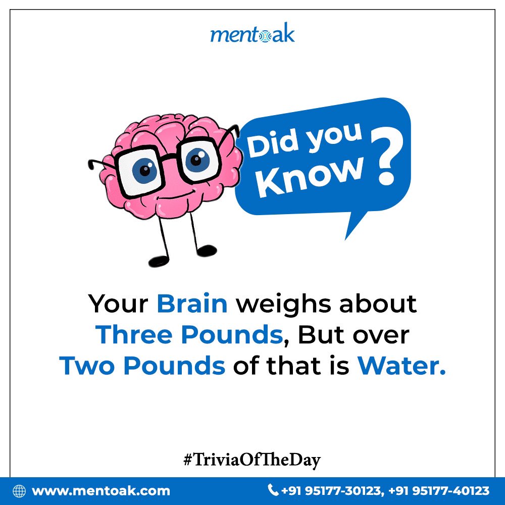 mentoakofficial's tweet photo. Did you know?

#Mentoak #Learning #Knowledge #Iamgenious #Education #Learningplatform #studies #funwithstudies  #help #mentoak #knowledgesharing #englishgrammar #education #iamgenius #learnenglish #vocabulary #learnwithus
 #educationmatters #learnenglish  #knowledgeispower https://t.co/8QUlwiLhp7