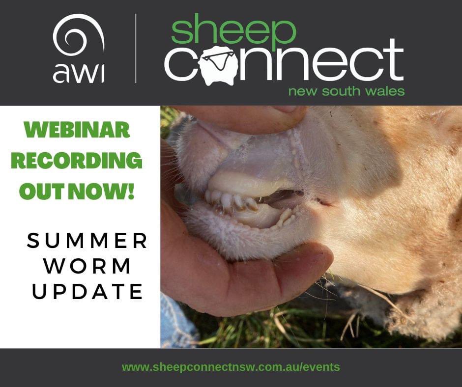 Summer Worm Update webinar is now online! 🪱 

If you missed it be sure to tune into the recording where Dr Jillian Kelly discusses the best ways to tackle worms this season. 👍

View the recording here: 👉 bit.ly/3XuyyfD

#sheepworms