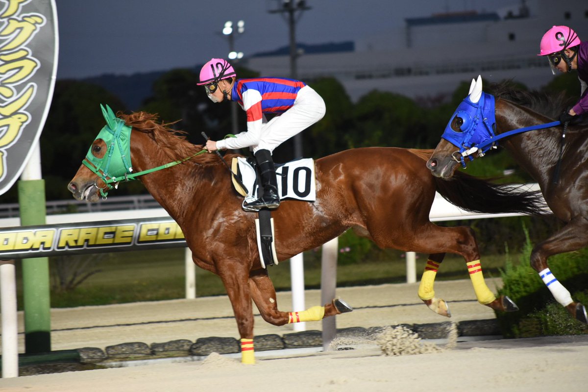 laimu1998413's tweet photo. #園田9R
C2一
#アグネスリュウ
#鴨宮祥行
リュウくん
初勝利おめでとう!!!
ずっとずっとずーっと
追い続けて
そして今日、勝利の瞬間を
この目で見れた事が
本当に何よりも嬉しい!!!
リュウくん大大大好きだよ!!!!! https://t.co/ZDEsNl6lSw
