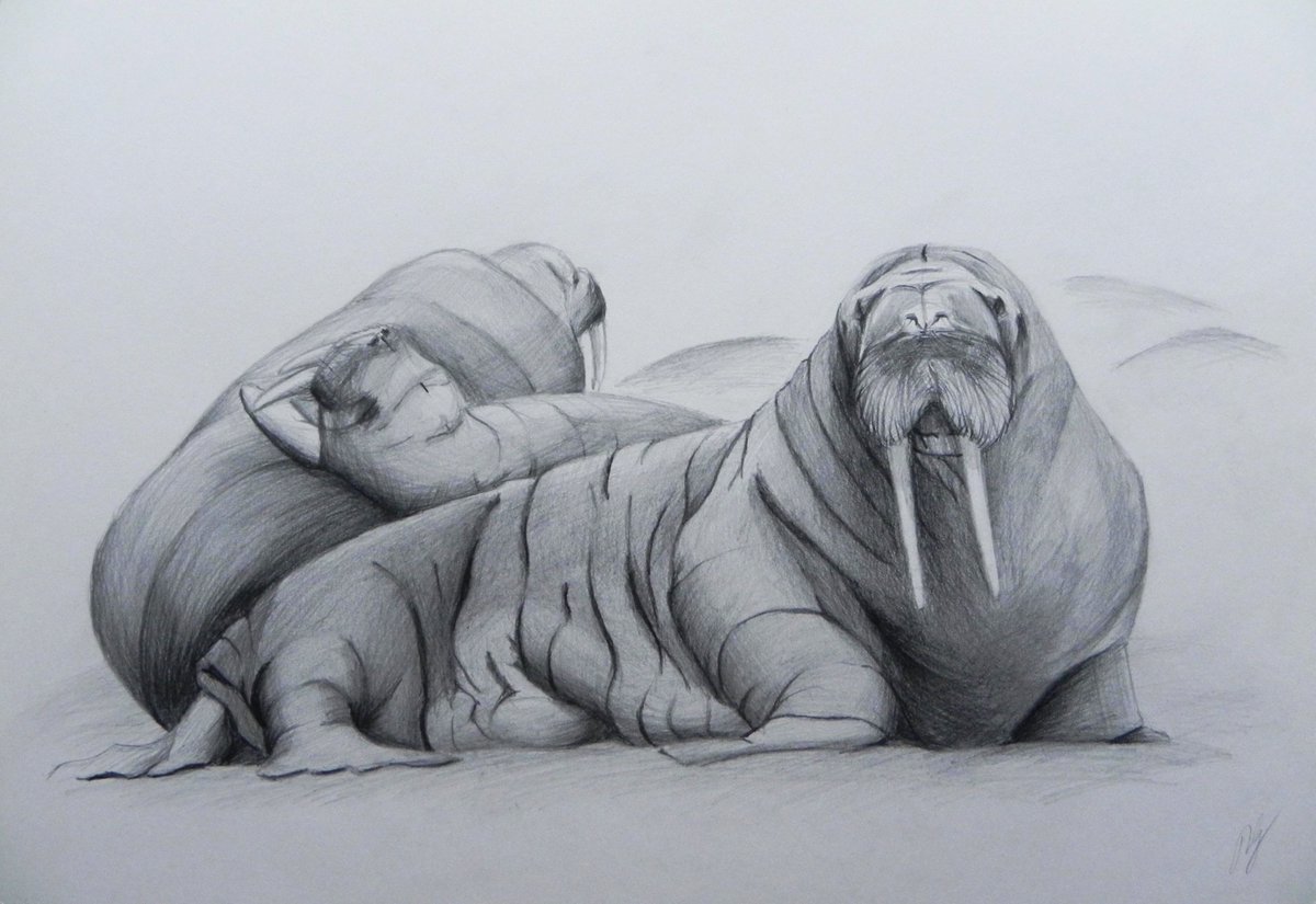 Rest of walruses
objkt.com/asset/KT1SSdHT…
#NFT #fineart