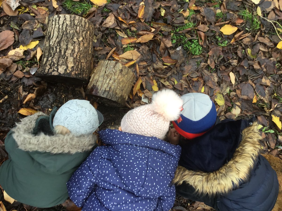 braunstone_cps's tweet photo. F1 enjoyed their Forest School session making pumpkin soup and exploring under logs. The sessions help to develop language and understanding of the world. #EYFS #EYFSbcps https://t.co/sxjQkFI7U9