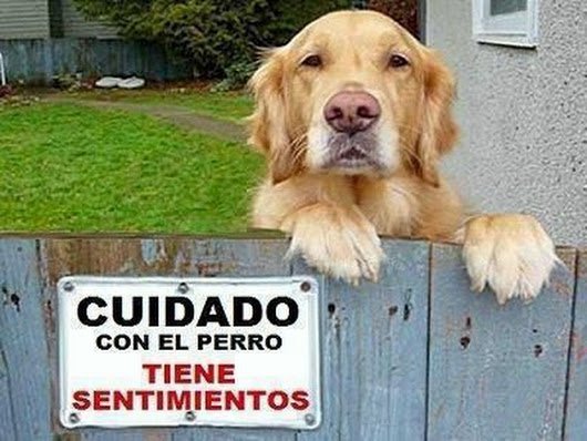 guardiacivil's tweet photo. Hay carteles muy parecidos en los accesos a algunas viviendas, pero la aclaración de este en particular es muy importante. Esperamos que no seas susceptible. 

#NoAlMaltratoAnimal 
#YoSiPuedocontarlo 
#SEPRONA 📲062 https://t.co/D18baZDw3V