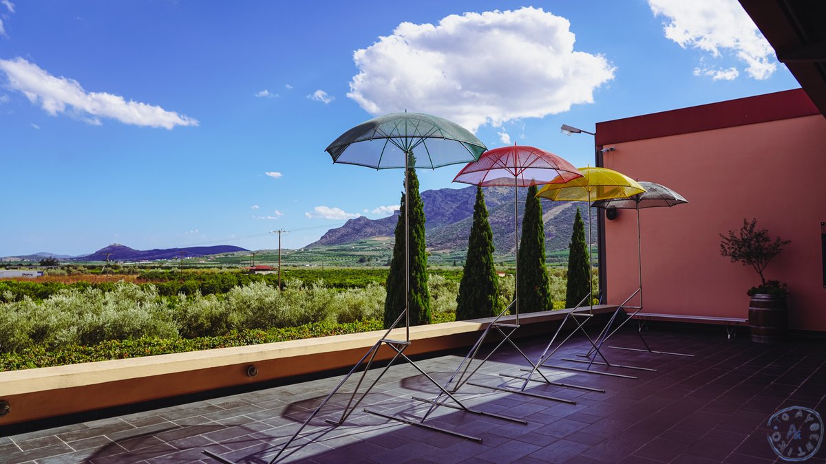 ToAuthentiko's tweet image. Στην ΝΕΜΕΑ, Τέχνη και Οίνος στο ΚΤΗΜΑ ΣΚΟΥΡΑ.
Για #Το_Αυθεντικό ο #ΟΙΝΟΣ είναι ΤΕΧΝΗ. 
«Τέσσερις Εποχές» για το @DOMAINESKOURAS  λοιπόν, εκεί όπου η ΤΕΧΝΗ του Γιώργου Ζογγολόπουλου ενώθηκε με την ΤΕΧΝΗ του Οίνου!
 bit.ly/3Ucg6WA