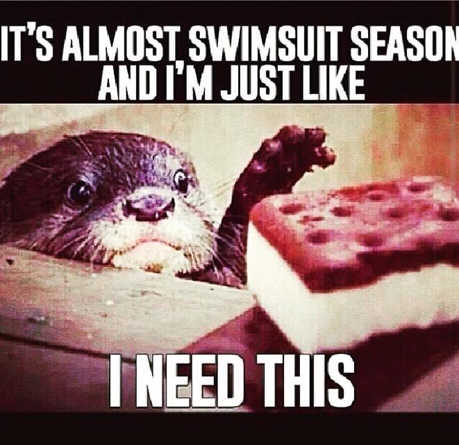 audas_vanschoor's tweet image. #Thestruggleisreal... 🐭 I need this 😂👙👐🏽🍘.. #Fitjoke #fithumor #Fitspo #Healthychoices #FetchYourBody2022 #BikiniBody #Lifestyle #AvsFitness