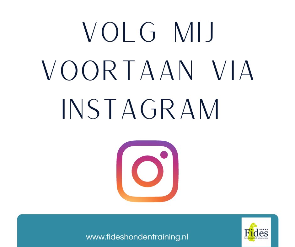 Meerdere kanalen onderhouden vraagt veel tijd. Daarom heb ik besloten mij voortaan te richten op Instagram. 
👉 instagram.com/fideshondentra…

Ben jij een een ambitieuze startende (h)ondernemer en wil jij een goedlopende hondenschool starten? hondernemersplein.nl
