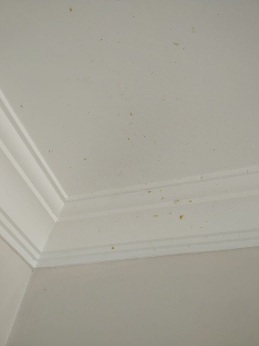 Korkmaz düdüklü tencere patladı öyle ki metal yerini bile parçaladı hava çıkarması gereken yerden havayı çıkarmadı her yerin batması bir yana  annem mutfaktaydı ocakta durma süresi altının açıklığında problem yoktu bu ne rezalet <a href="/Rahmi_KORKMAZ_/">Rahmi KORKMAZ</a> #korkmaz @hayatinlezzeti #şikayet