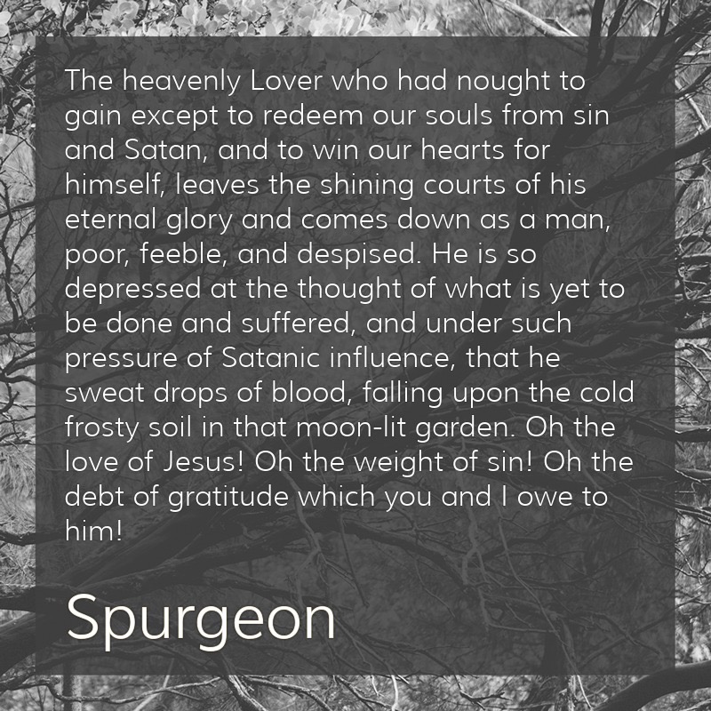 ReadingSpurgeon's tweet photo. Oh the love of Jesus! Oh the weight of sin! Oh the debt of gratitude which you and I owe to him!

#Spurgeon #s693 https://t.co/zbx0wmt5O8