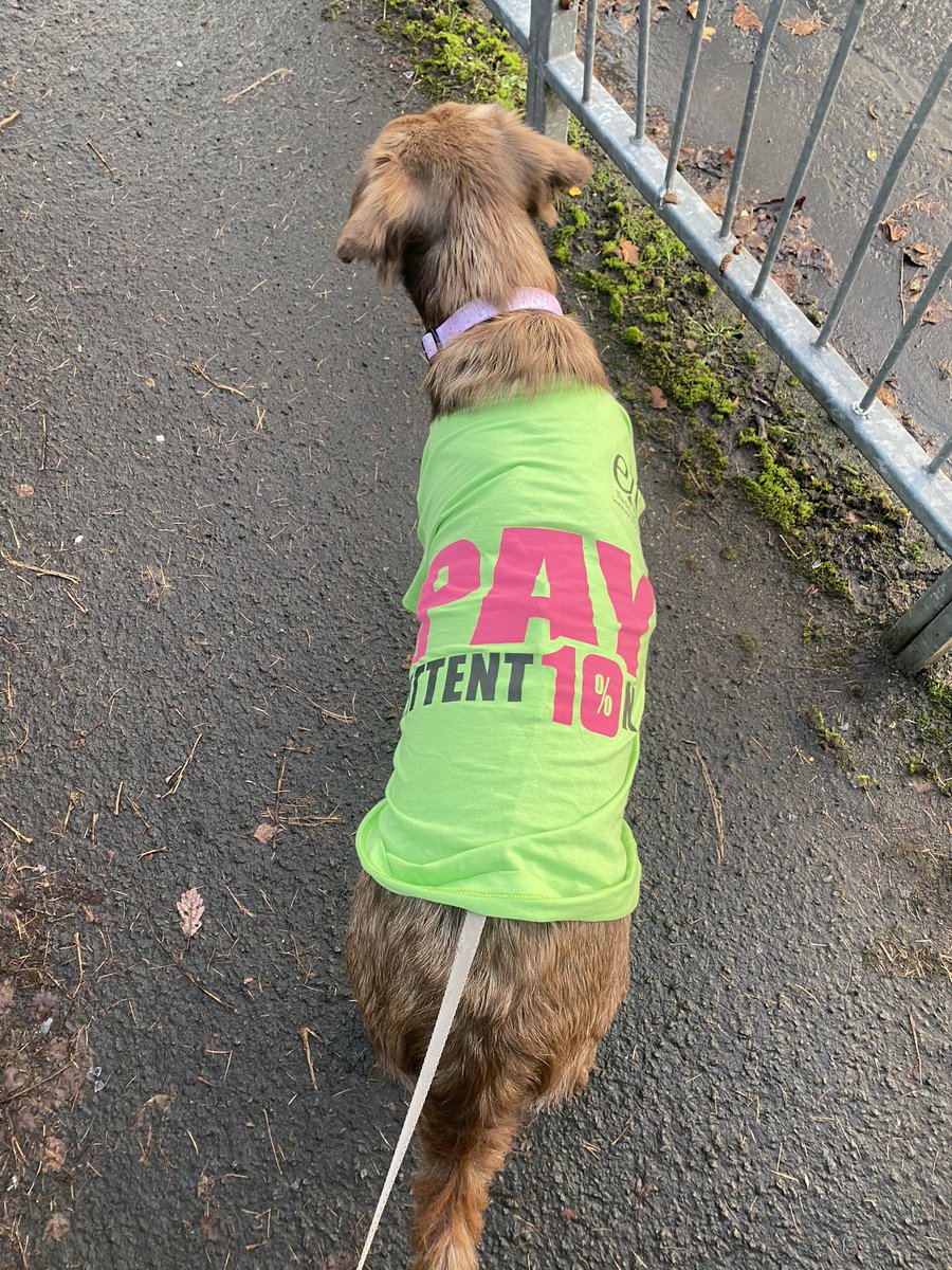 MissMcDonnell_'s tweet photo. @EISUnion our picket line mascot getting involved #PayAttention https://t.co/kmrDACoJmC